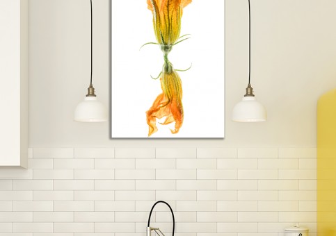 Tableaux personnalisés  Duo de fleurs de courgette