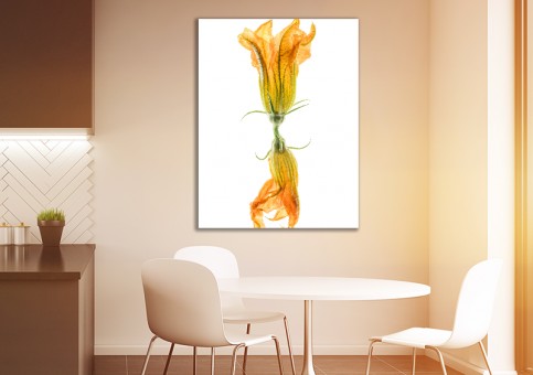 Tableaux personnalisés  Duo de fleurs de courgette