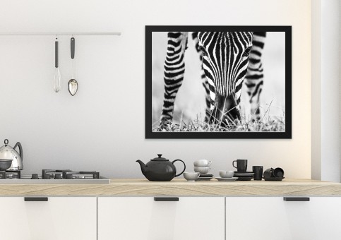 Tableaux personnalisés  portrait de zà¨bre