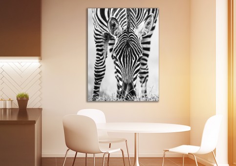 Tableaux personnalisés  portrait de zà¨bre