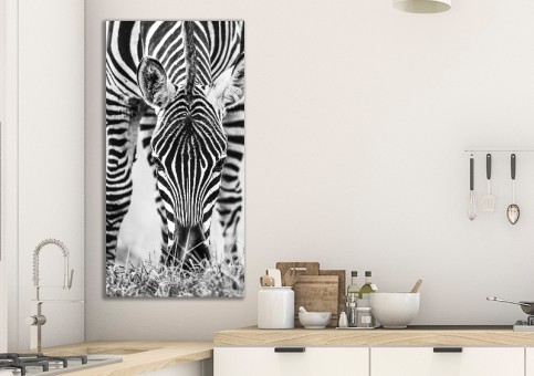 Tableaux personnalisés  portrait de zà¨bre