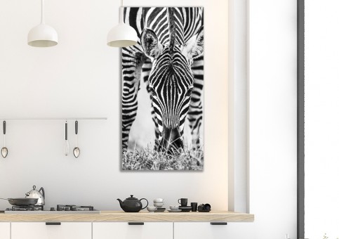 Tableaux personnalisés  portrait de zà¨bre