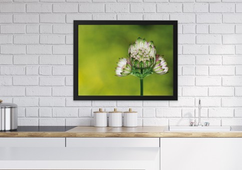 Tableaux personnalisés  Fleur 