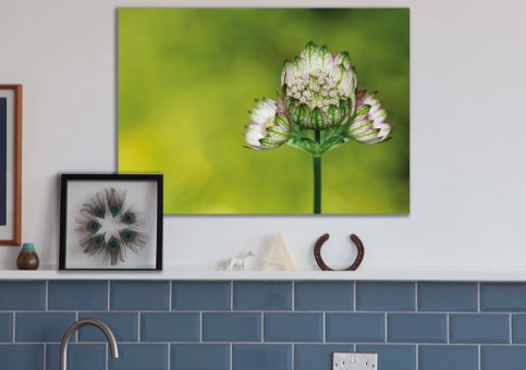 Tableaux personnalisés  Fleur 