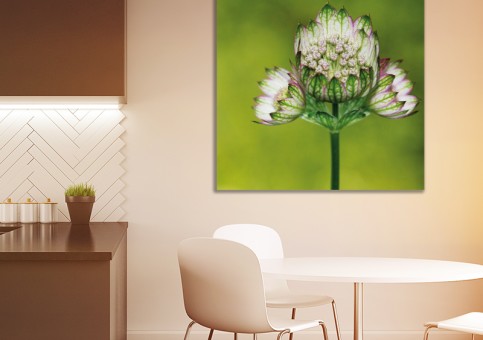Tableaux personnalisés  Fleur 