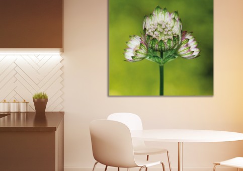Tableaux personnalisés  Fleur 