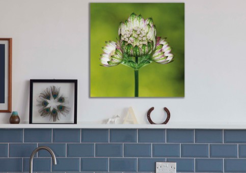 Tableaux personnalisés  Fleur 