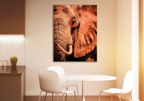 Tableaux personnalisés  Portrait éléphant 2