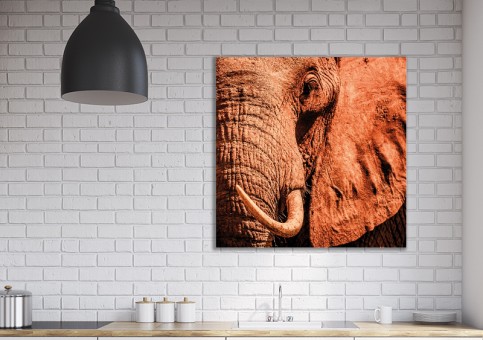 Tableaux personnalisés  Portrait éléphant 2