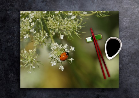 set de table personnalisé Coccinelle