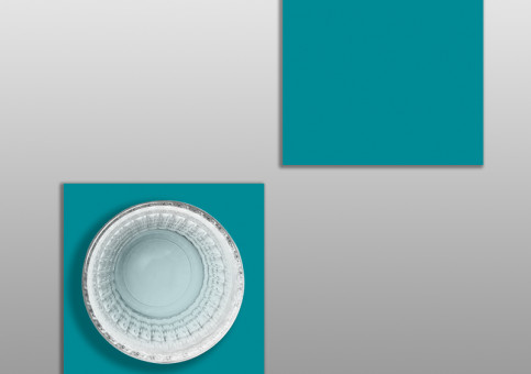 Dessous de verre Canard