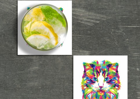 Dessous de verre Chat