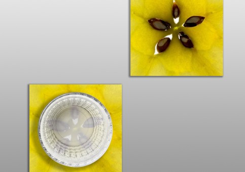 Dessous de verre meli-mélo 3 fruits