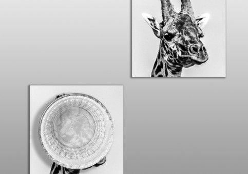 Dessous de verre Girafe