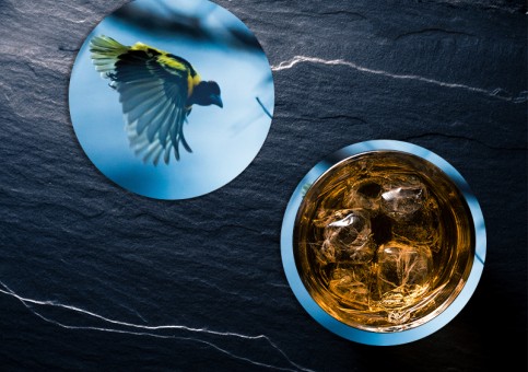 Dessous de verre Oiseau Tisserin