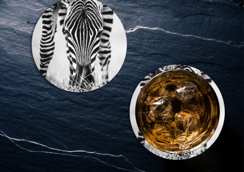 Dessous de verre portrait de zà¨bre