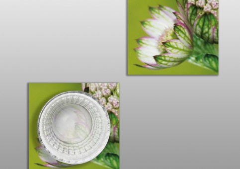Dessous de verre Fleur 