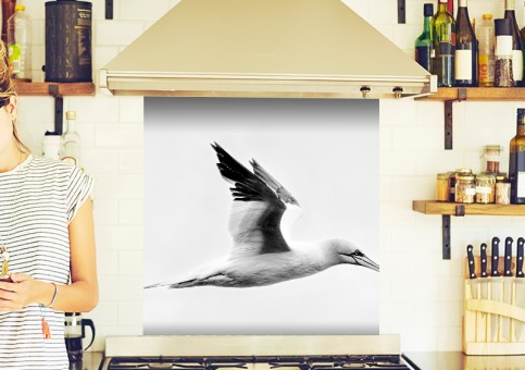 Crédence Fou de Bassan 1