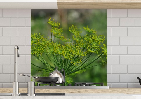 Crédence Fleur d'aneth