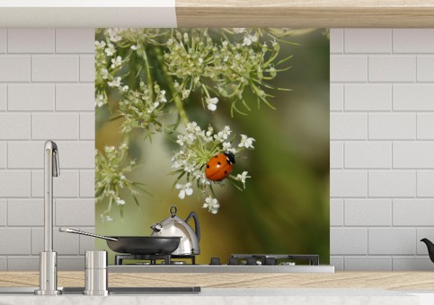 Crédence Coccinelle