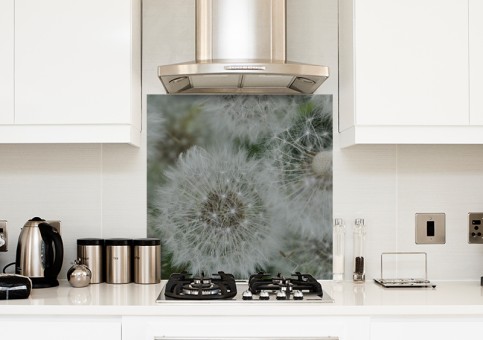 Crédence Graines de pissenlit