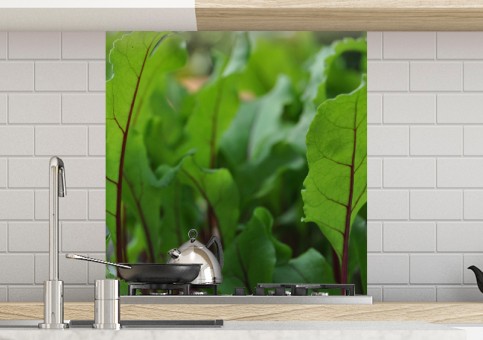 Crédence Pousses de betterave