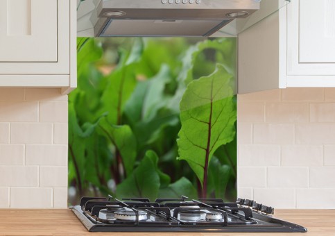 Crédence Pousses de betterave