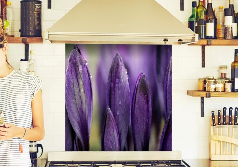 Crédence Crocus