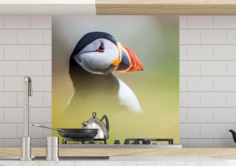 Crédence Portrait de macareux