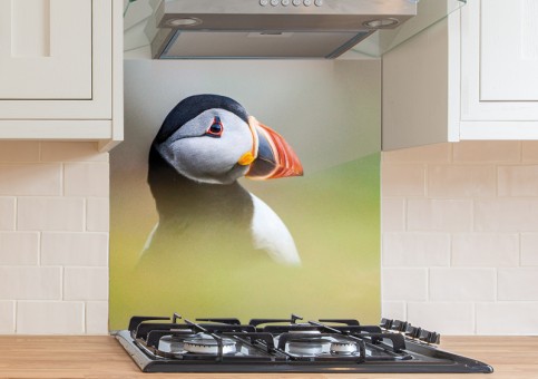 Crédence Portrait de macareux