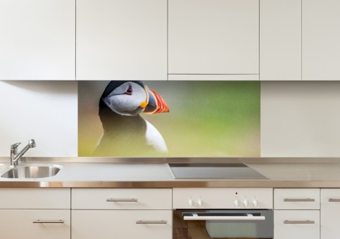 Crédence Portrait de macareux