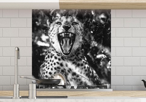 Crédence Portrait de Guépard 