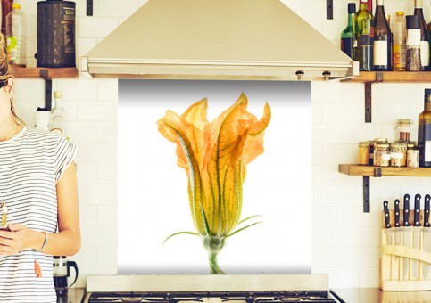 Crédence Duo de fleurs de courgette