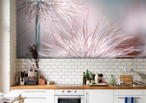 Habillage mural Passiflore