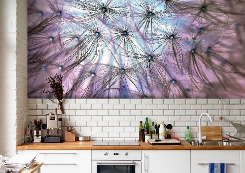 Habillage mural Dandelion
