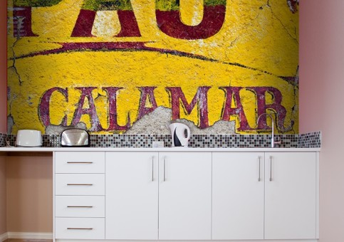 Habillage mural Pau