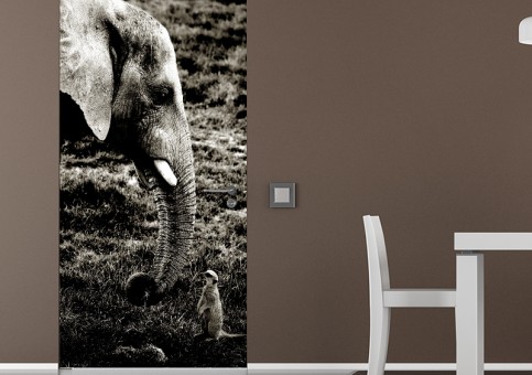 Habillage de porte Eléphant et suricate