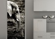 Habillage de porte Eléphant et suricate