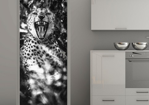 Habillage de porte Portrait de Guépard 