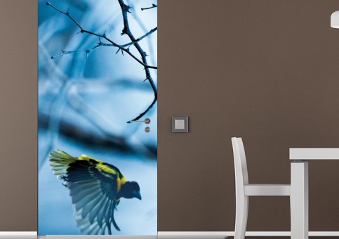 Habillage de porte Oiseau Tisserin