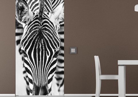 Habillage de porte portrait de zà¨bre