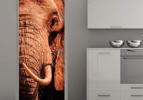 Habillage de porte Portrait éléphant 2