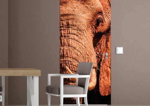 Habillage de porte Portrait éléphant 2