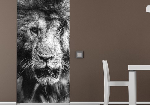 Habillage de porte Portrait lion