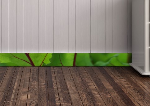 Plinthes personnalisées Pousses de betterave