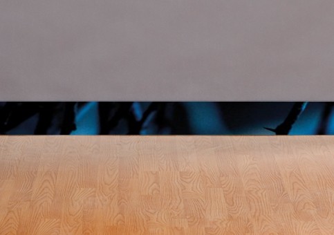 Plinthes personnalisées Oiseau Tisserin