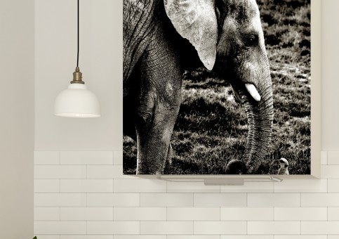 Magnet XXL Eléphant et suricate