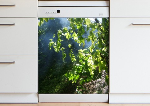 Magnet XXL Sous-bois