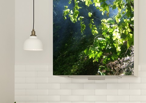 Magnet XXL Sous-bois