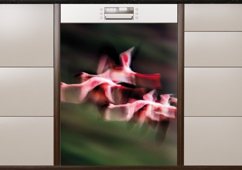 Magnet XXL Vol de flamands